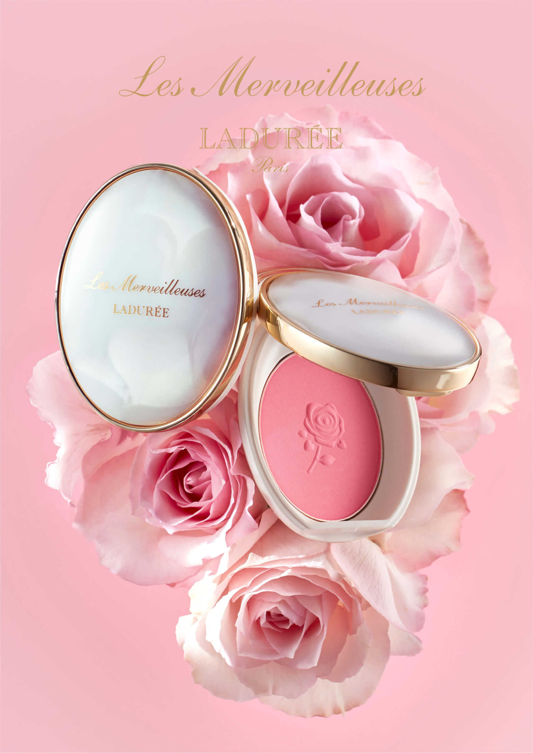 購入ネット LADUREE チーク 6周年 限定 オウム キバタン ...