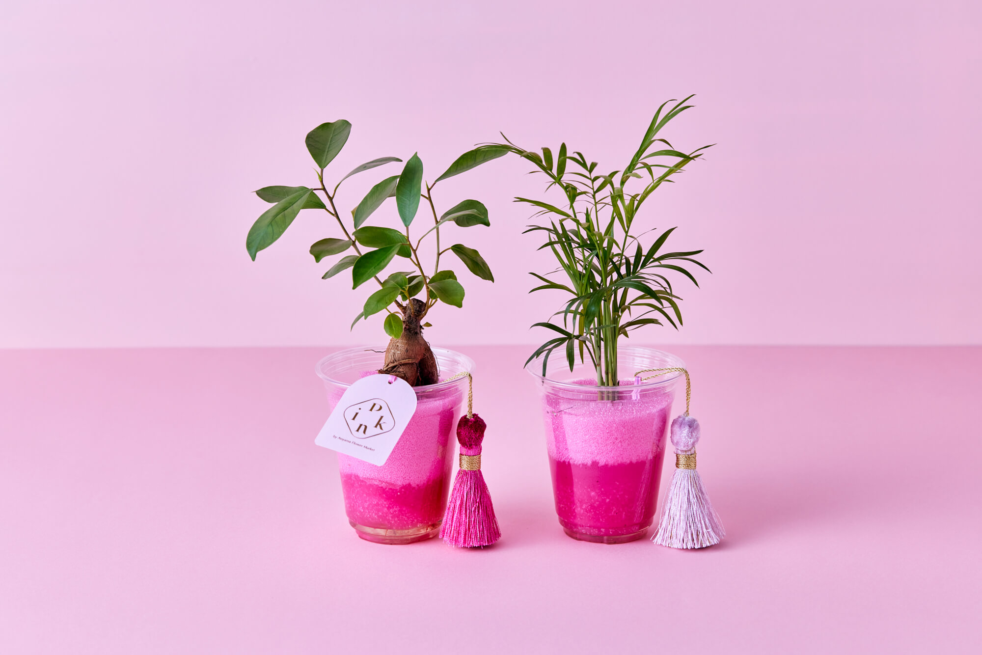 大阪・阪神梅田「Pink by Aoyama Flower Marketのマジカルグリーン／￥1,650(税込み)