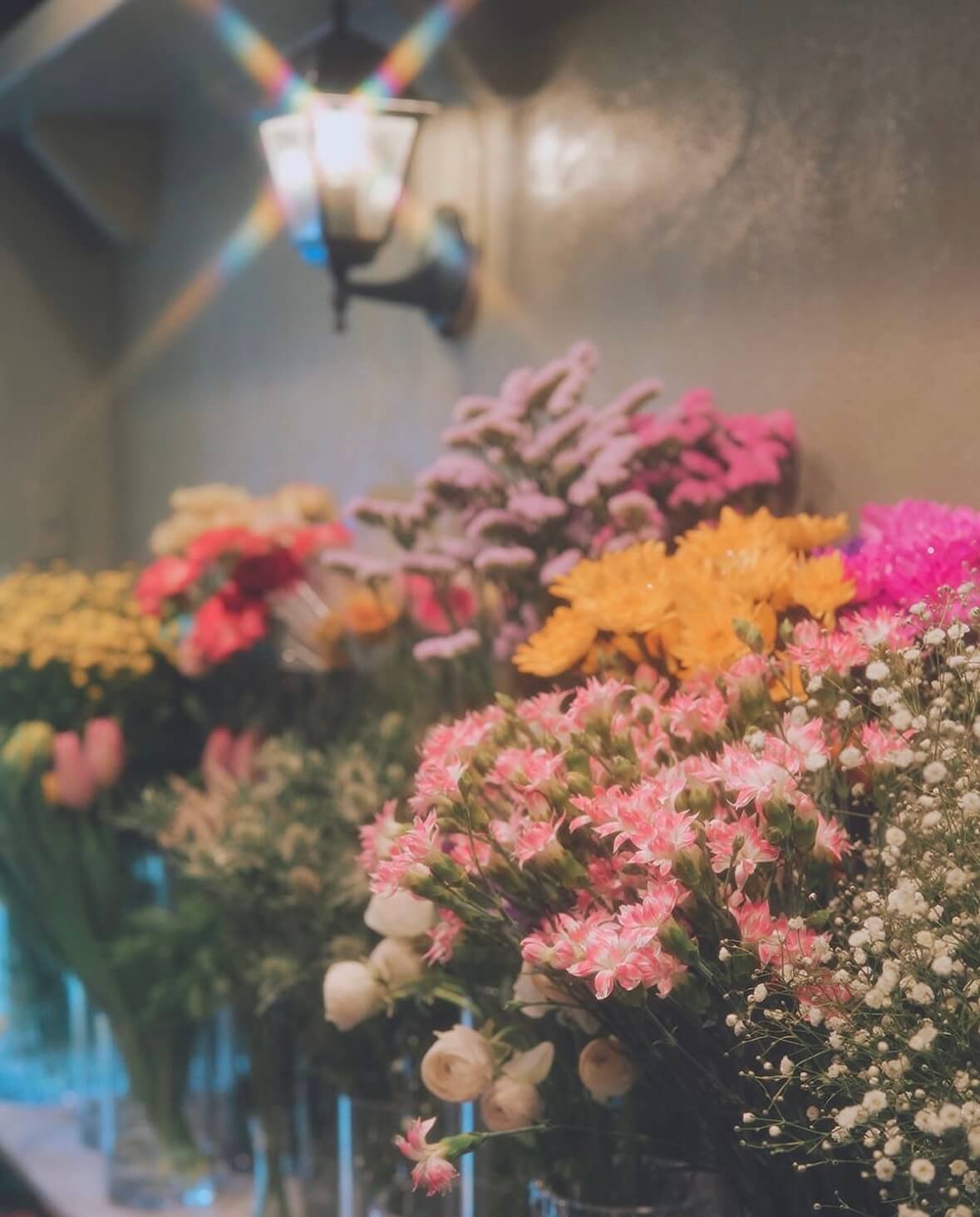 FLOWER WALL MONE