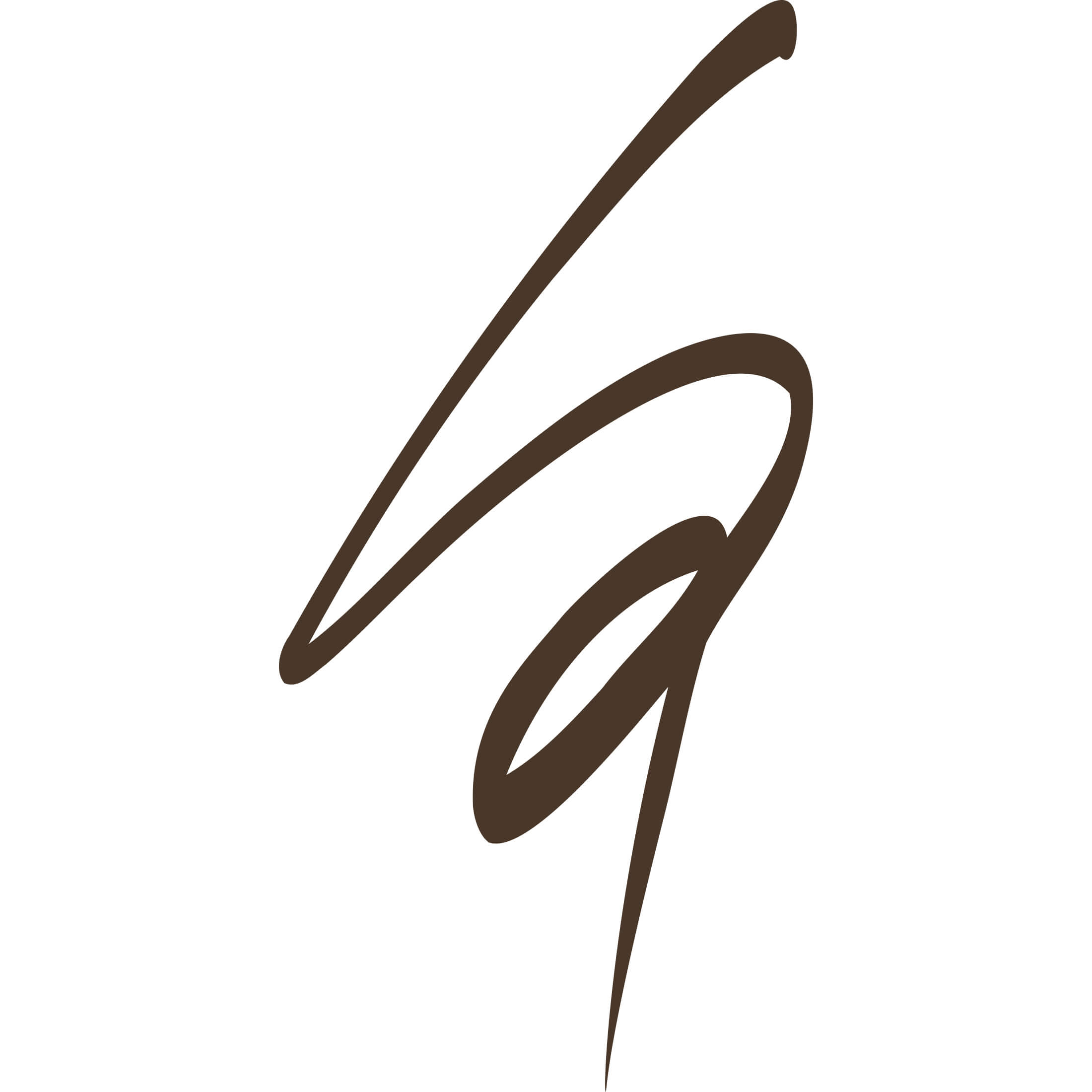 BR31 ブラック ブラウン